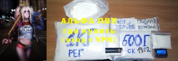 PSILOCYBIN Бородино